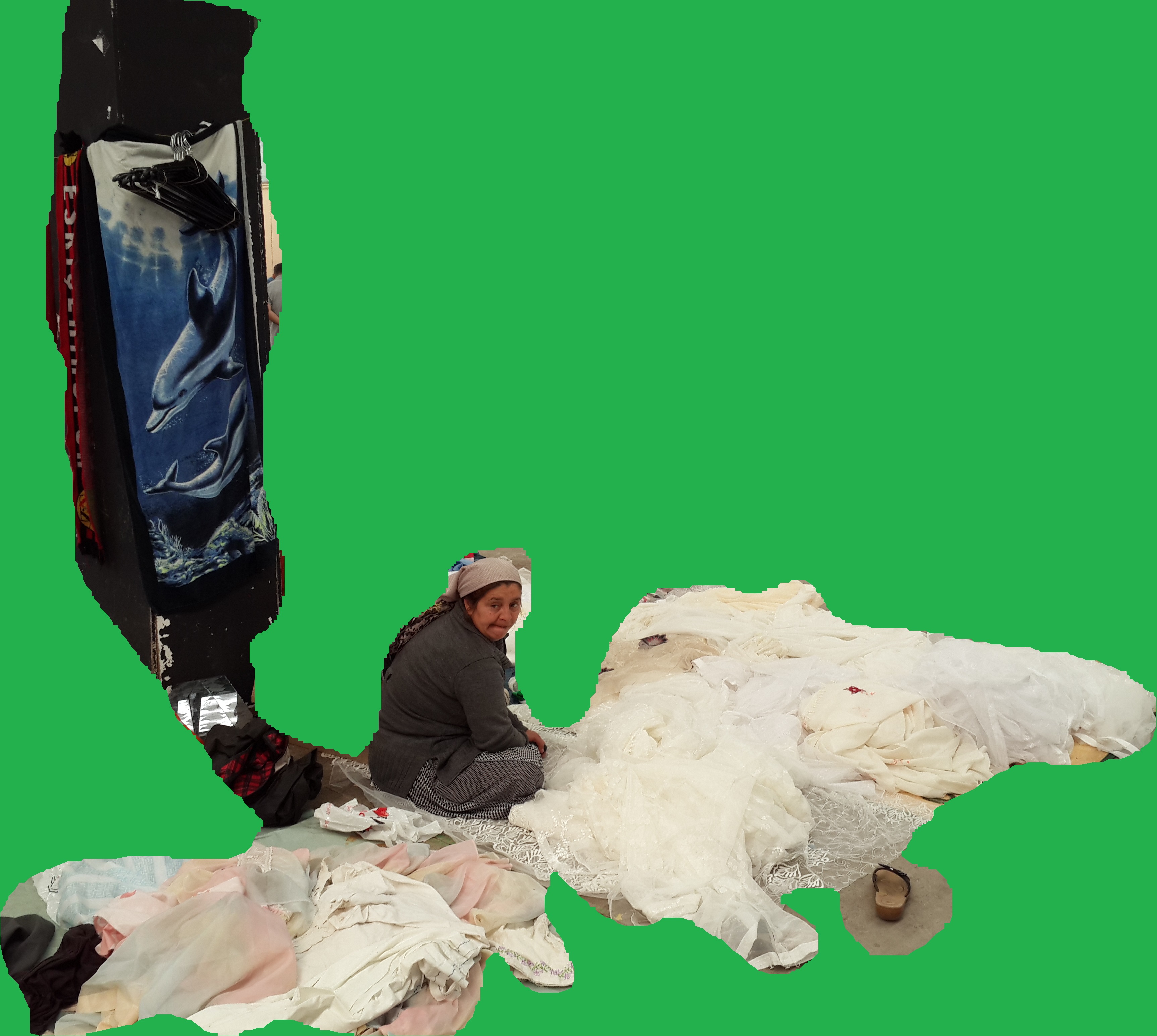 Bitpazarı Eskişehir 2014 “Yunuslar ve Takunya”